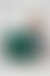 The Versailles Planter: Elevating Your Outdoor Space with Timeless Elegance