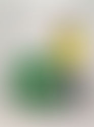 The Ultimate Guide to decorate your Home with Versailles Planters