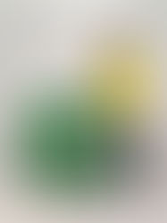 The Ultimate Guide to decorate your Home with Versailles Planters