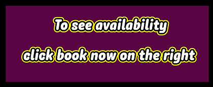 Design-Studio-2025-11-10 (3).jpg