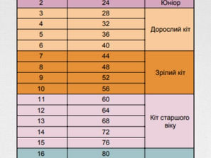 Як перерахувати вік собак і котів на людський?