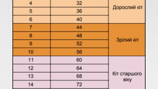 Як перерахувати вік собак і котів на людський?