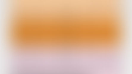 Як перерахувати вік собак і котів на людський?