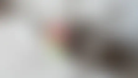 Іграшки для котів та собак. Як обрати правильну?