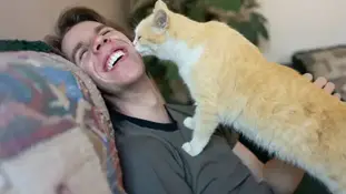 Велика любов до тварини це норма чи ні?