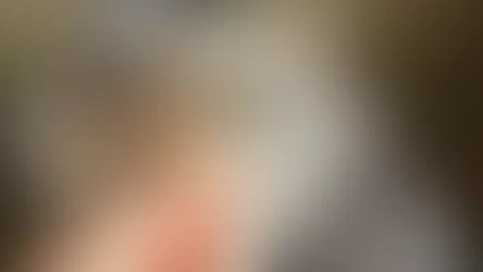 Продукти з якими можна дати таблетку коту чи собаці