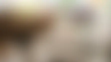 Жорсткість води для улюбленців