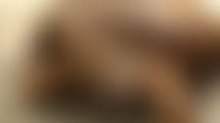 Стрижка кігтів і дзьоба черепахам