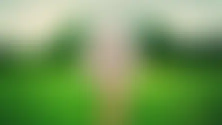 Як витягнути кліща з кота чи собаки?