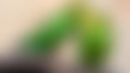 Як підготуватись до другого птаха у домі?