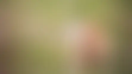 Поширені причини хронічного свербежу у собак та котів?