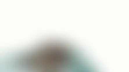 Евтаназія тварини. Як прийняти рішення?