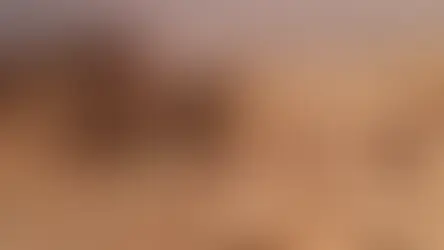 Як створити безпечні умови у тераріумі для змії?