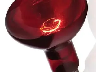 Баскінг та лампи обігріву для черепах