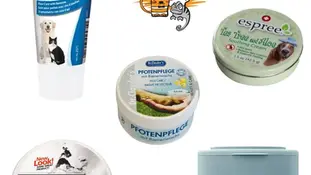 Як захистити лапи свого улюбленця взимку?