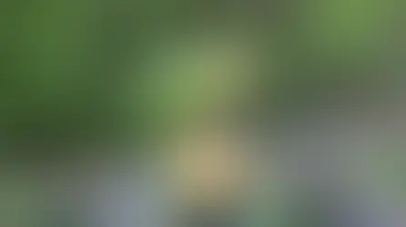 Які продукти можна давати папугам?