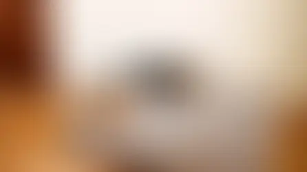 Кіт або собака блює. Що робити?