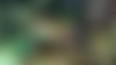 Сплячка у черепах. Що потрібно? Які умови? Коли прокидатись?