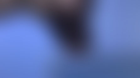 Як п'ють воду коти та собаки?