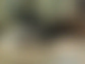 Як музика впливає на собак?