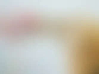 Що робити, якщо ваш кіт або собака не їсть більше доби?