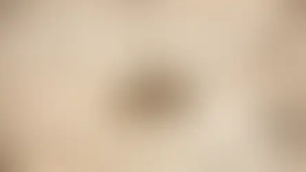 Чи варто утримувати сурикатів вдома?