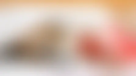 Гастрит у котів та собак