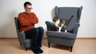 Чи здатні тварини на помсту?