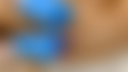 Чим обробляти собак від зовнішніх паразитів?