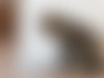 Яку воду давати улюбленцям?