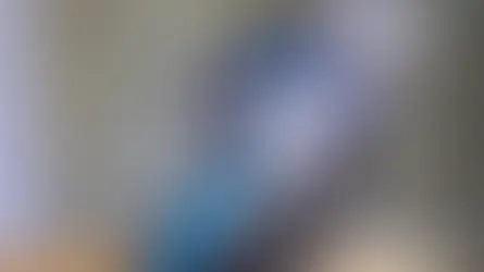 Поліфолікульоз у папуг