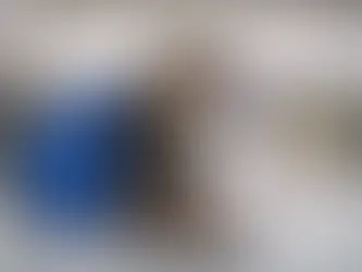 Первезення тварин за кордон з України