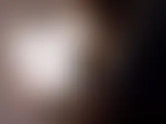 Подорож літаком з улюбленцем. Як підготуватись? Частина 3