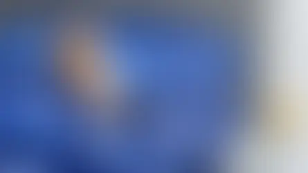 Нежить у котів та причини, які її викликають