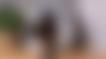 Догляд за літнім котом. Модифікації будинку.