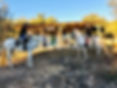 Horses shortbreak La Cuadra 2.jpg