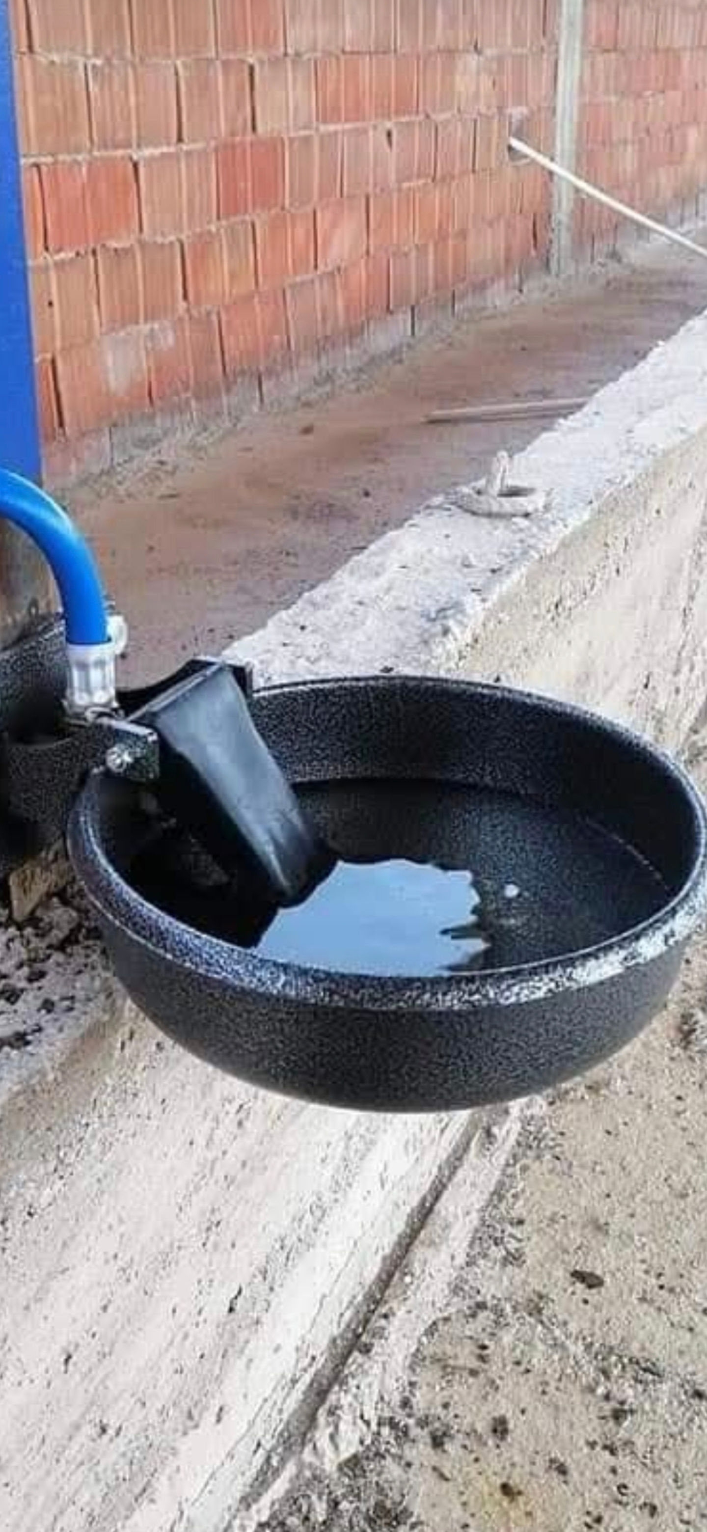 hayvan suluk fiyatları