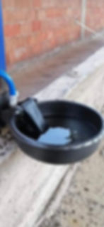 hayvan suluk fiyatları