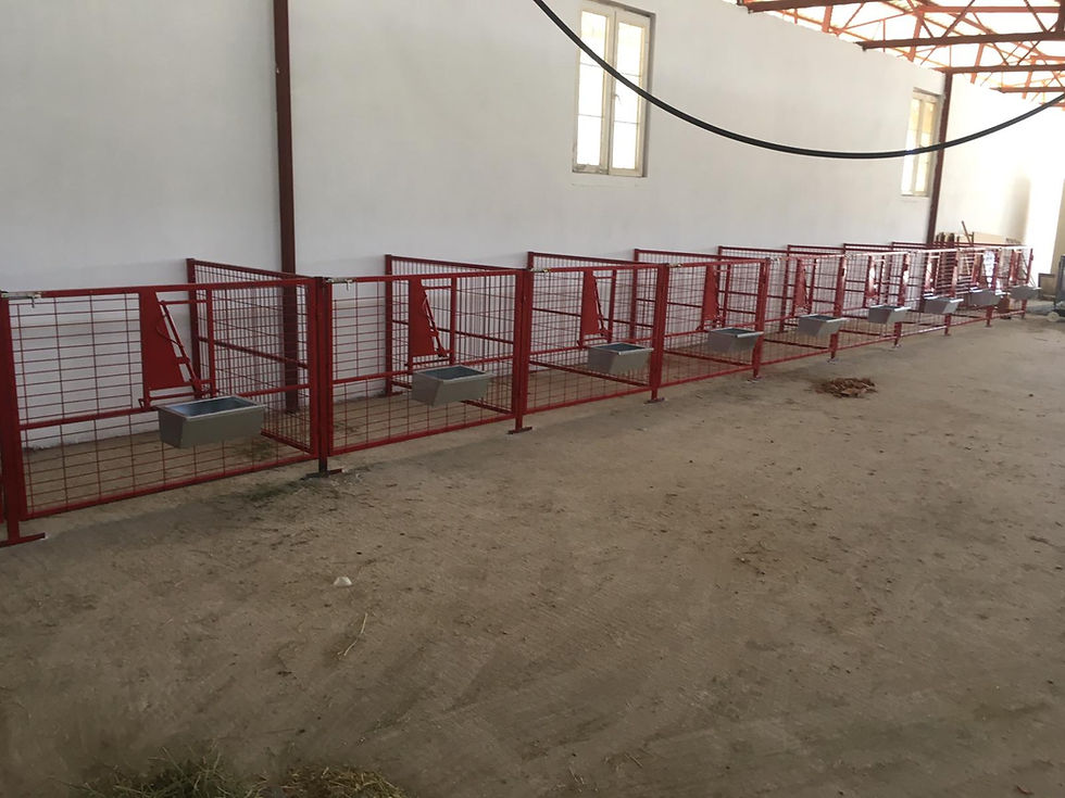 Küçük resim: Küçükbaş Doğum Padoğu