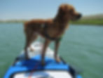 Hal loving the new paddleboard