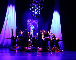 Rencontre Internationale de Danse d'Angers