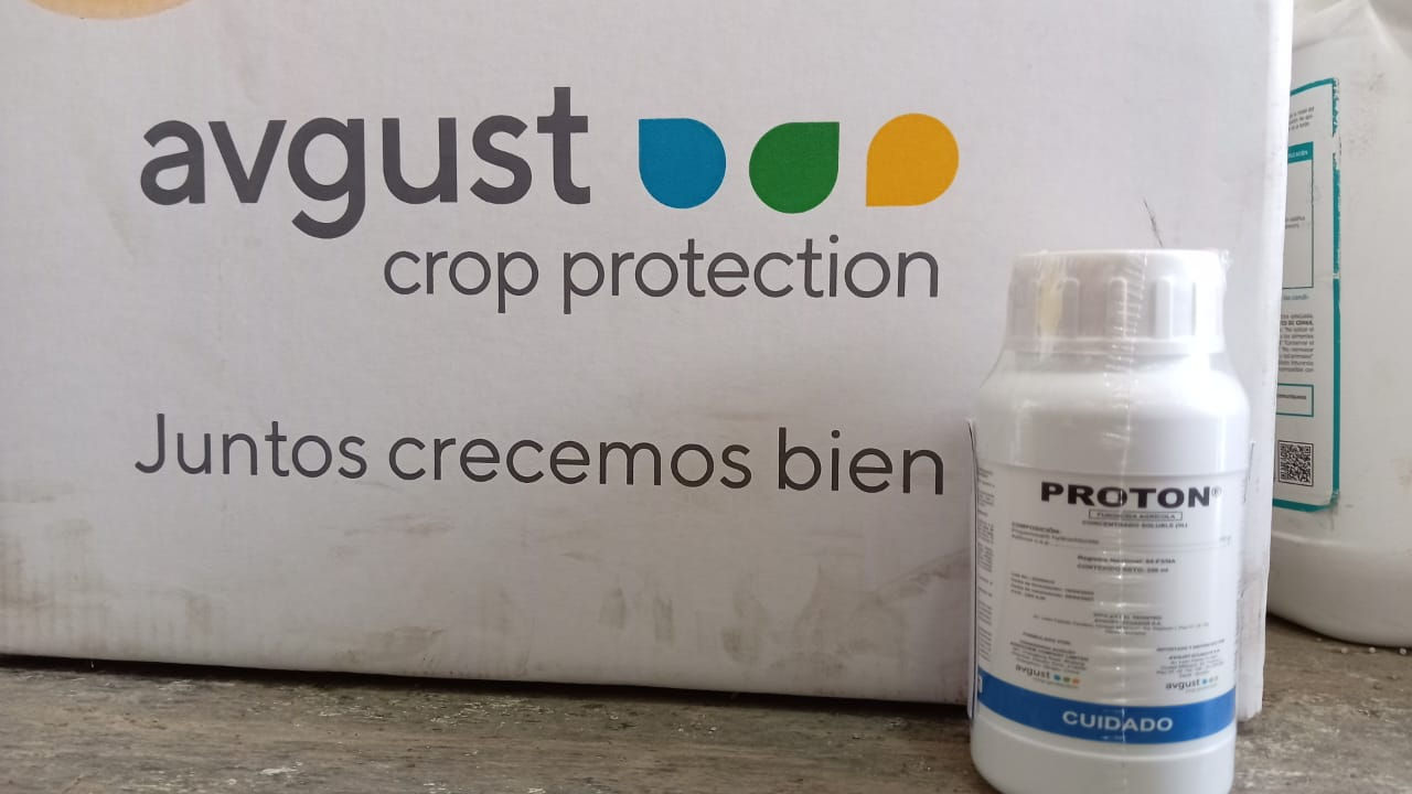 PROTON 7.22 de 500cc