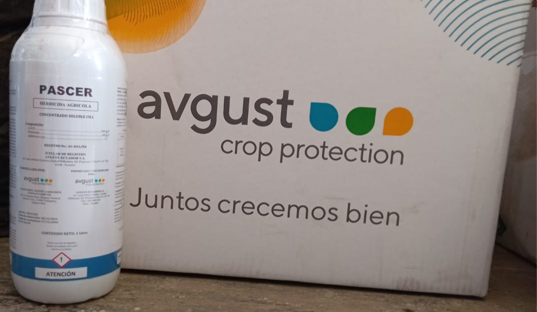 PASCER/LIMPAST de 19 LTS