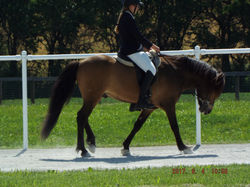 Maria's Competion Lettlikie 164