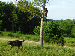 Farm Pics 020