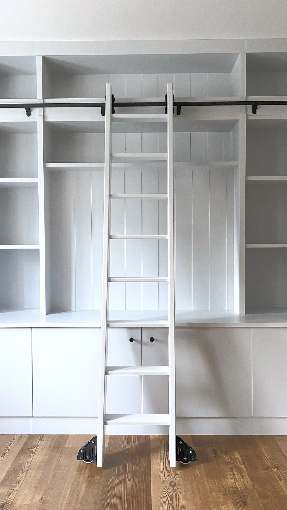 Library Wall Furniture & Ladder