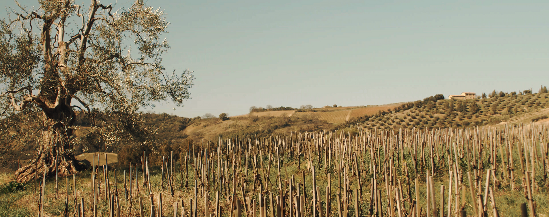 ©Bastian Esser 2.png