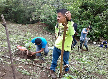 agricultura sostenible