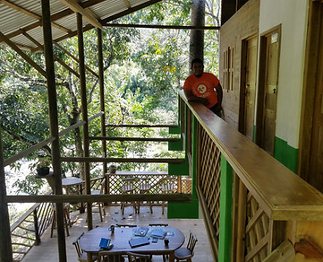 Habitaciones en el bosque