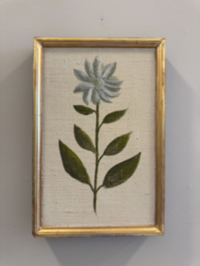 Botanical 62